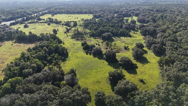 18001 SE Hawthorne Rd, Hawthorne, FL 32640 - drone / aerial view featuring a wooded view