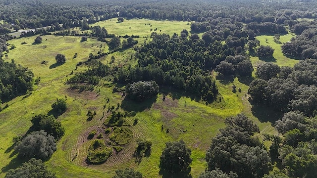 18001 SE Hawthorne Rd, Hawthorne, FL 32640 - birds eye view of property featuring a wooded view