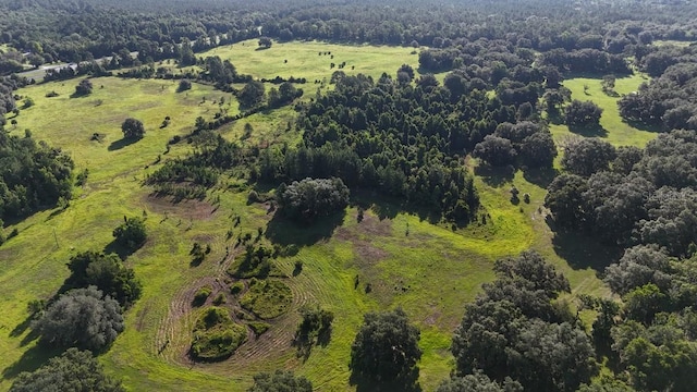 18001 SE Hawthorne Rd, Hawthorne, FL 32640 - birds eye view of property featuring a forest view