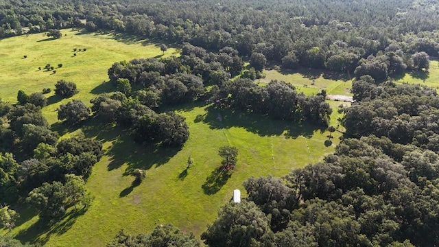 18001 SE Hawthorne Rd, Hawthorne, FL 32640 - birds eye view of property featuring a view of trees and a rural view