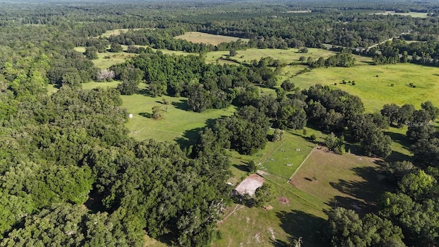 18001 SE Hawthorne Rd, Hawthorne, FL 32640 - birds eye view of property with a view of trees