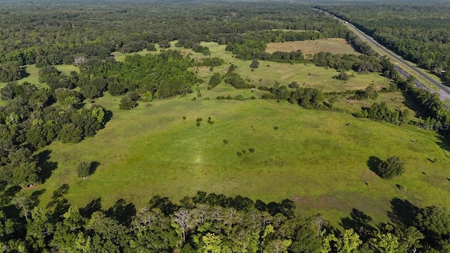18001 SE Hawthorne Rd, Hawthorne, FL 32640 - birds eye view of property with a forest view