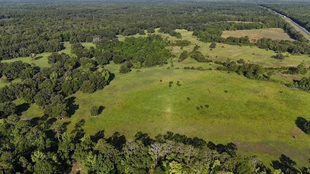 18001 SE Hawthorne Rd, Hawthorne, FL 32640 - birds eye view of property featuring a forest view