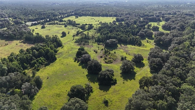 18001 SE Hawthorne Rd, Hawthorne, FL 32640 - bird's eye view with a wooded view