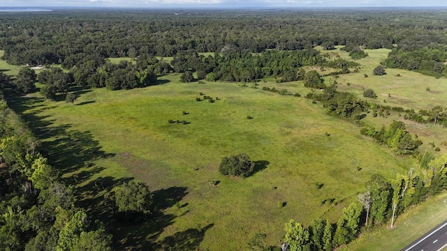 18001 SE Hawthorne Rd, Hawthorne, FL 32640 - aerial view with a forest view
