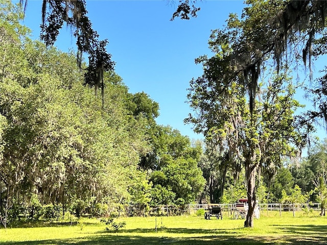 18001 SE Hawthorne Rd, Hawthorne, FL 32640 - view of property's community featuring a lawn, fence, and a forest view