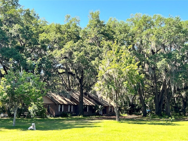 18001 SE Hawthorne Rd, Hawthorne, FL 32640 - view of yard