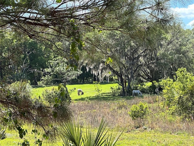 18001 SE Hawthorne Rd, Hawthorne, FL 32640 - view of home's community