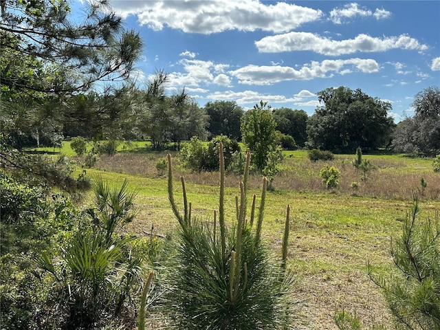 view of nature with a rural view