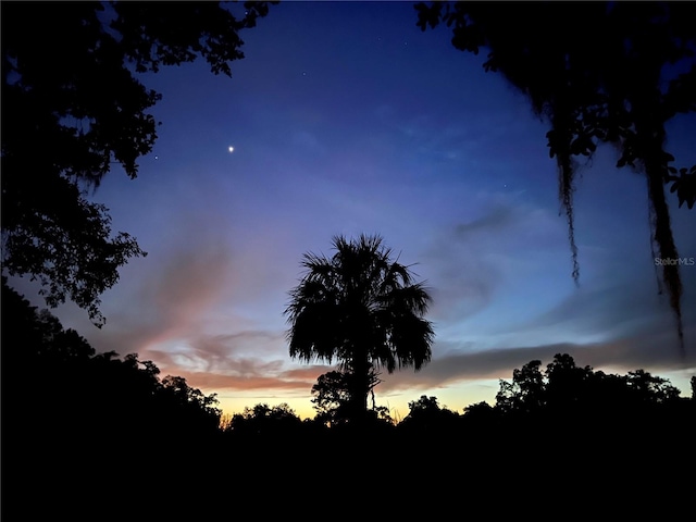 view of nature at dusk