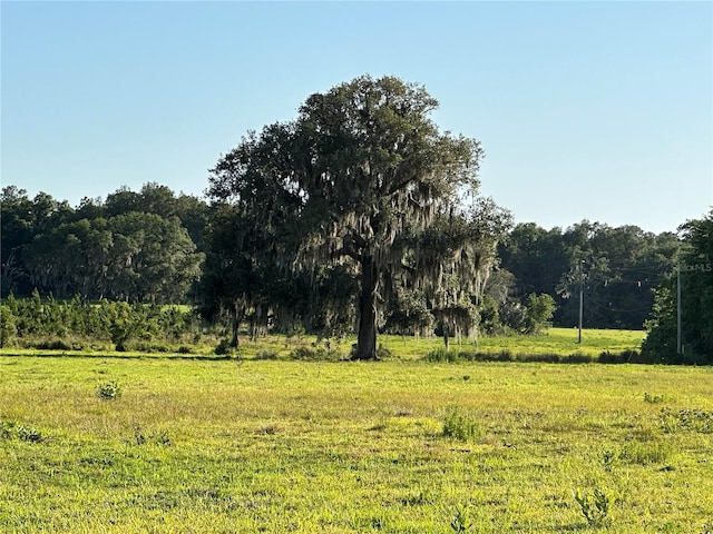 view of landscape featuring a rural view