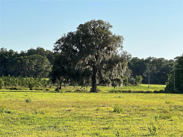 18001 SE Hawthorne Rd, Hawthorne, FL 32640 - view of local wilderness with a forest view