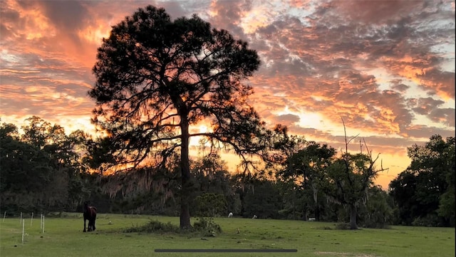 nature at dusk featuring a rural view