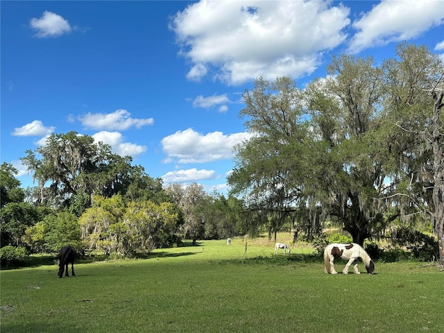 view of home's community with a rural view and a lawn