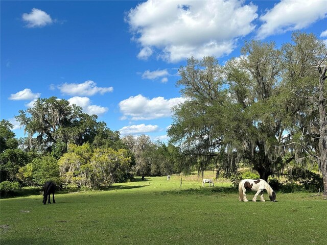 18001 SE Hawthorne Rd, Hawthorne, FL 32640 - view of property's community featuring a lawn