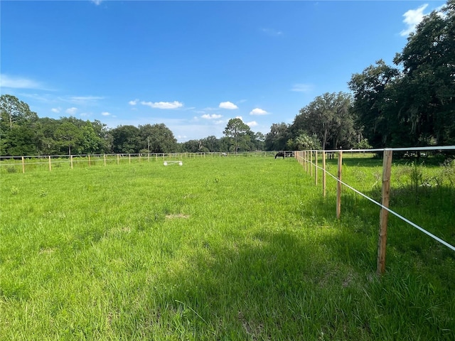 view of yard featuring a rural view