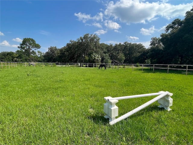 18001 SE Hawthorne Rd, Hawthorne, FL 32640 - view of yard featuring fence and a rural view