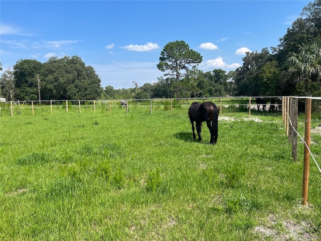 18001 SE Hawthorne Rd, Hawthorne, FL 32640 - view of yard featuring a rural view