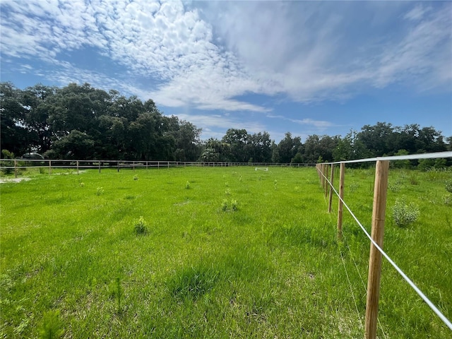 view of yard with a rural view