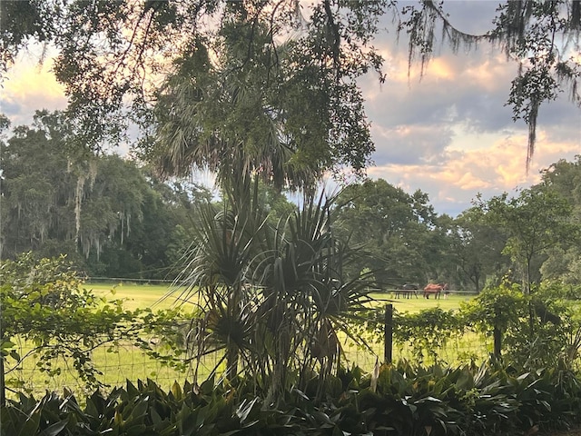 view of nature at dusk