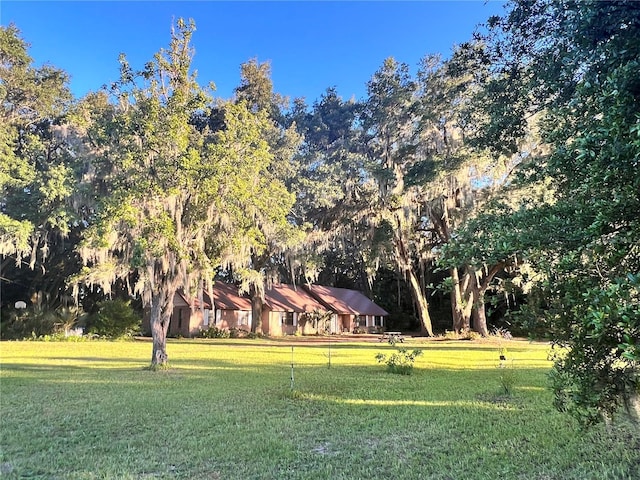 18001 SE Hawthorne Rd, Hawthorne, FL 32640 - surrounding community featuring a lawn
