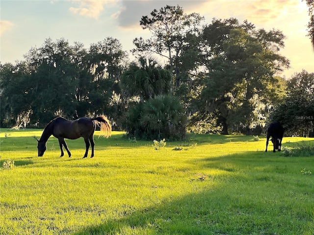 18001 SE Hawthorne Rd, Hawthorne, FL 32640 - view of community