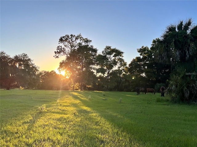 yard at dusk with a rural view