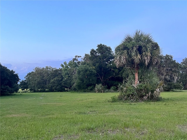 18001 SE Hawthorne Rd, Hawthorne, FL 32640 - view of yard