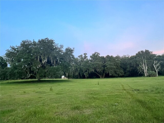 18001 SE Hawthorne Rd, Hawthorne, FL 32640 - view of yard with a wooded view and a rural view