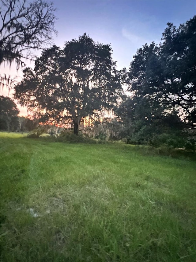 view of yard at dusk