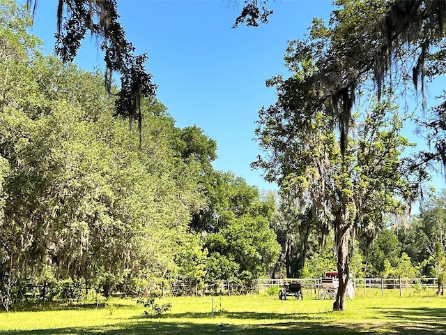 18001 SE Hawthorne Rd, Hawthorne, FL 32640 - surrounding community with fence, a lawn, and a wooded view