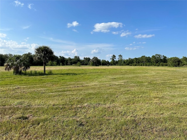 18001 SE Hawthorne Rd, Hawthorne, FL 32640 - view of landscape with a rural view