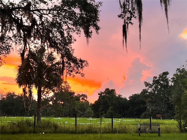 18001 SE Hawthorne Rd, Hawthorne, FL 32640 - view of nature