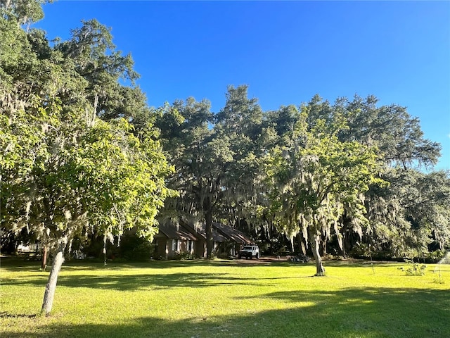 view of community featuring a yard