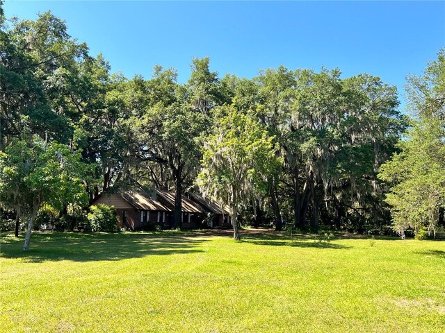 18001 SE Hawthorne Rd, Hawthorne, FL 32640 - view of yard