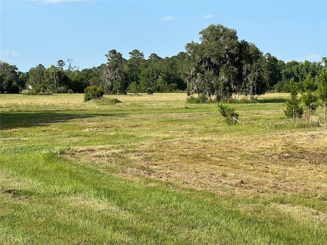 18001 SE Hawthorne Rd, Hawthorne, FL 32640 - view of local wilderness with a rural view and a forest view