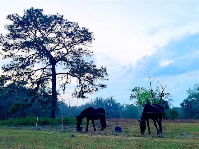 view of property's community featuring a rural view