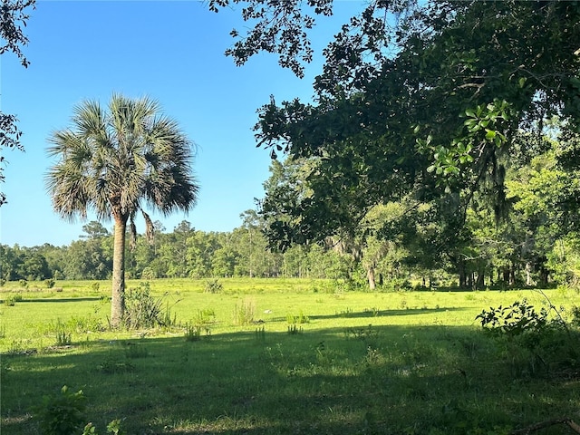 view of nature featuring a rural view