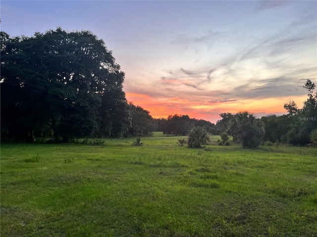 yard at dusk with a rural view