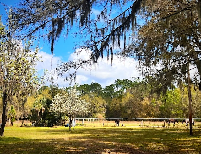 view of community with a rural view and a lawn