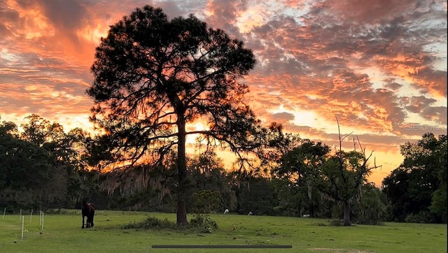 nature at dusk with a rural view