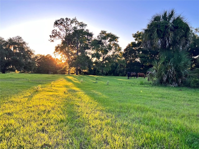 18001 SE Hawthorne Rd, Hawthorne, FL 32640 - view of yard featuring a rural view