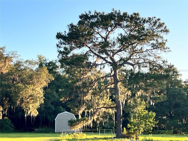 18001 SE Hawthorne Rd, Hawthorne, FL 32640 - view of property's community with a lawn, a view of trees, an outbuilding, and a storage unit