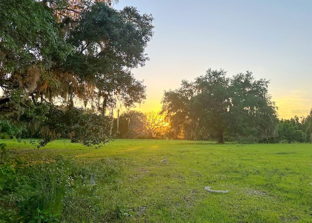 view of yard at dusk