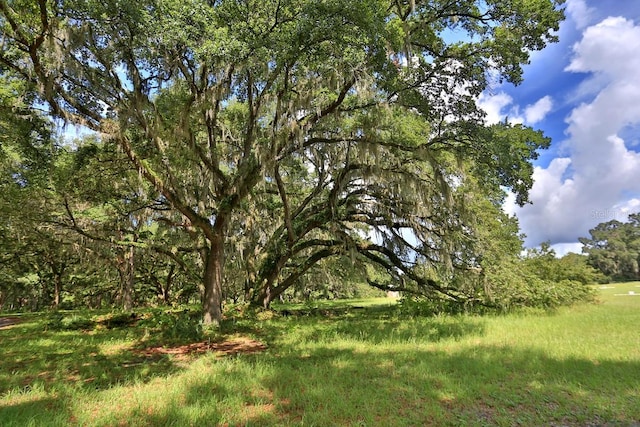 view of landscape