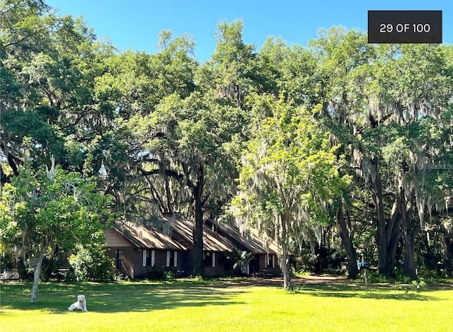 18001 SE Hawthorne Rd, Hawthorne, FL 32640 - view of yard