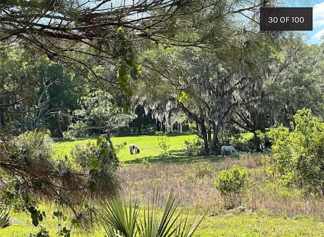 18001 SE Hawthorne Rd, Hawthorne, FL 32640 - view of surrounding community