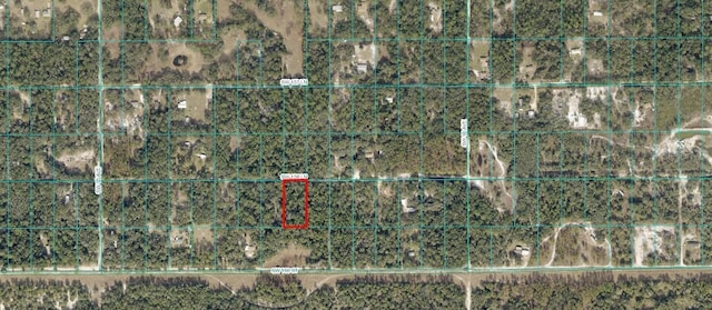 SW 158th Ln, Dunnellon FL, 34432 land for sale