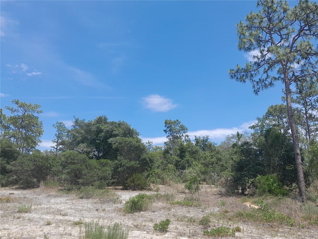 2211 SE State Road 121, Morriston FL, 32668 land for sale