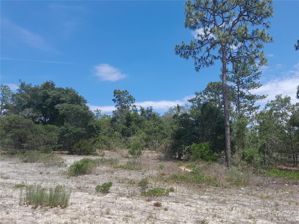 2211 SE State Road 121, Morriston, FL 32668